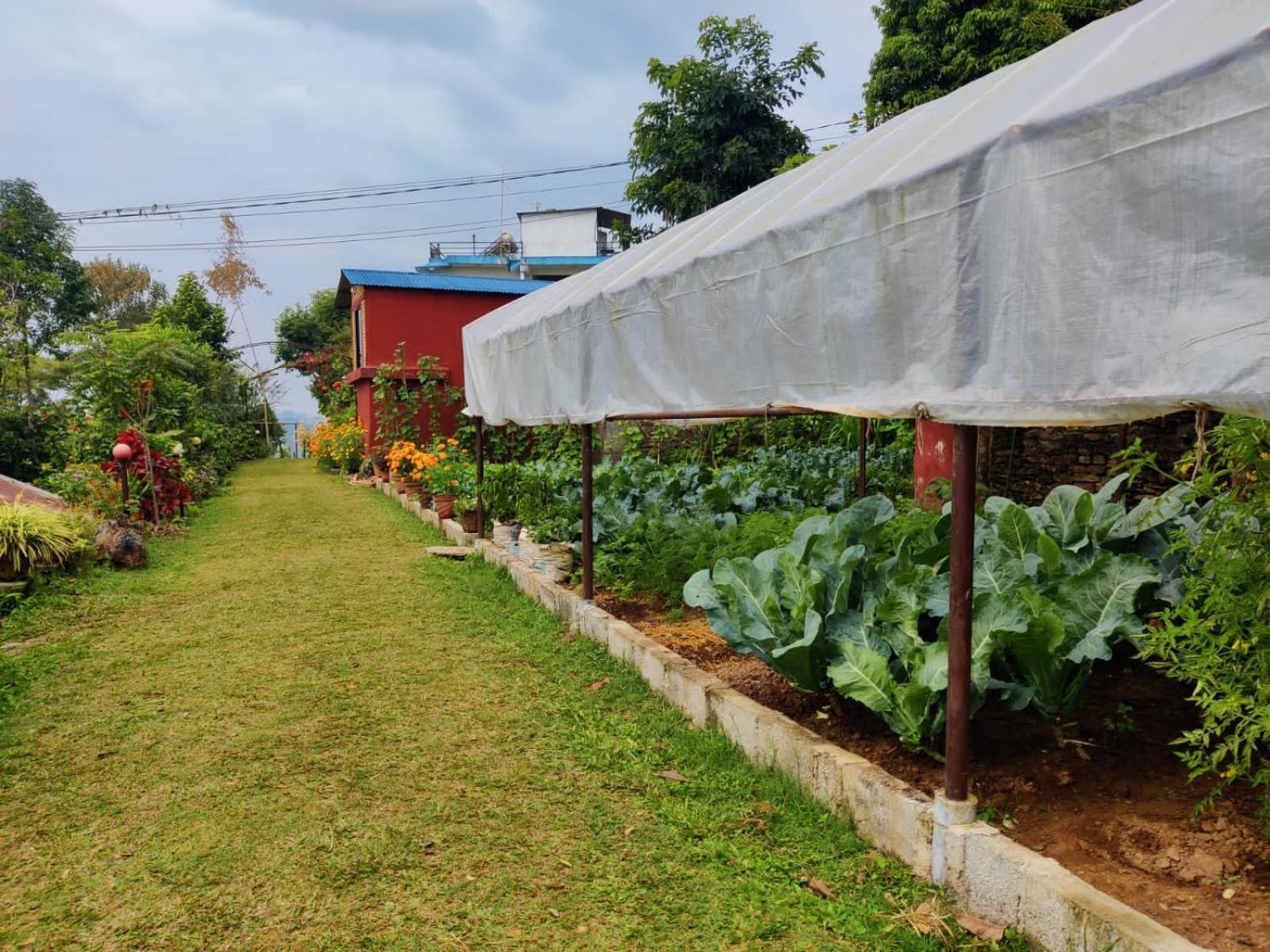 Himalaya Serene View Guest House & Farm Stay Deorāli Buitenkant foto