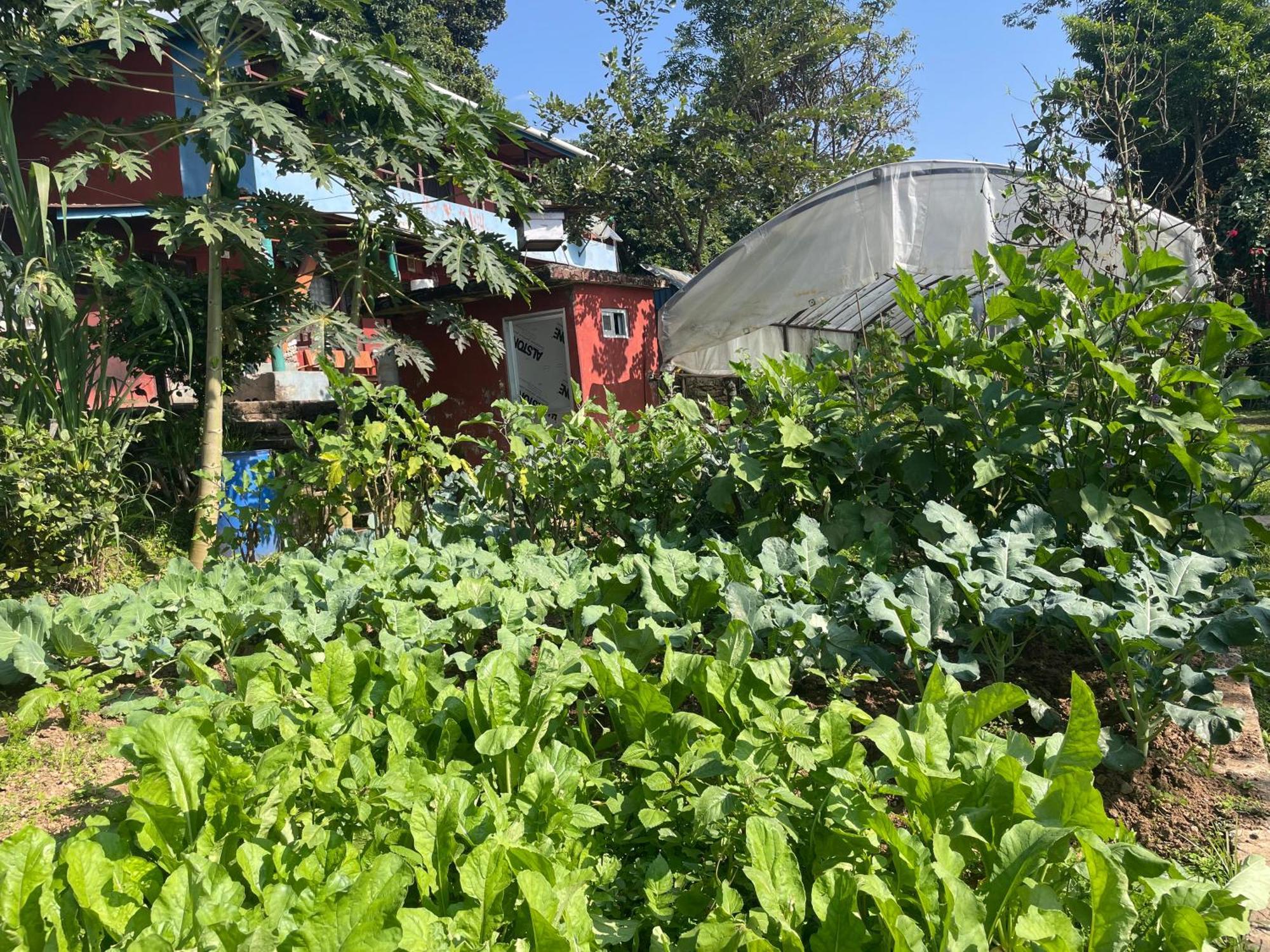 Himalaya Serene View Guest House & Farm Stay Deorāli Buitenkant foto