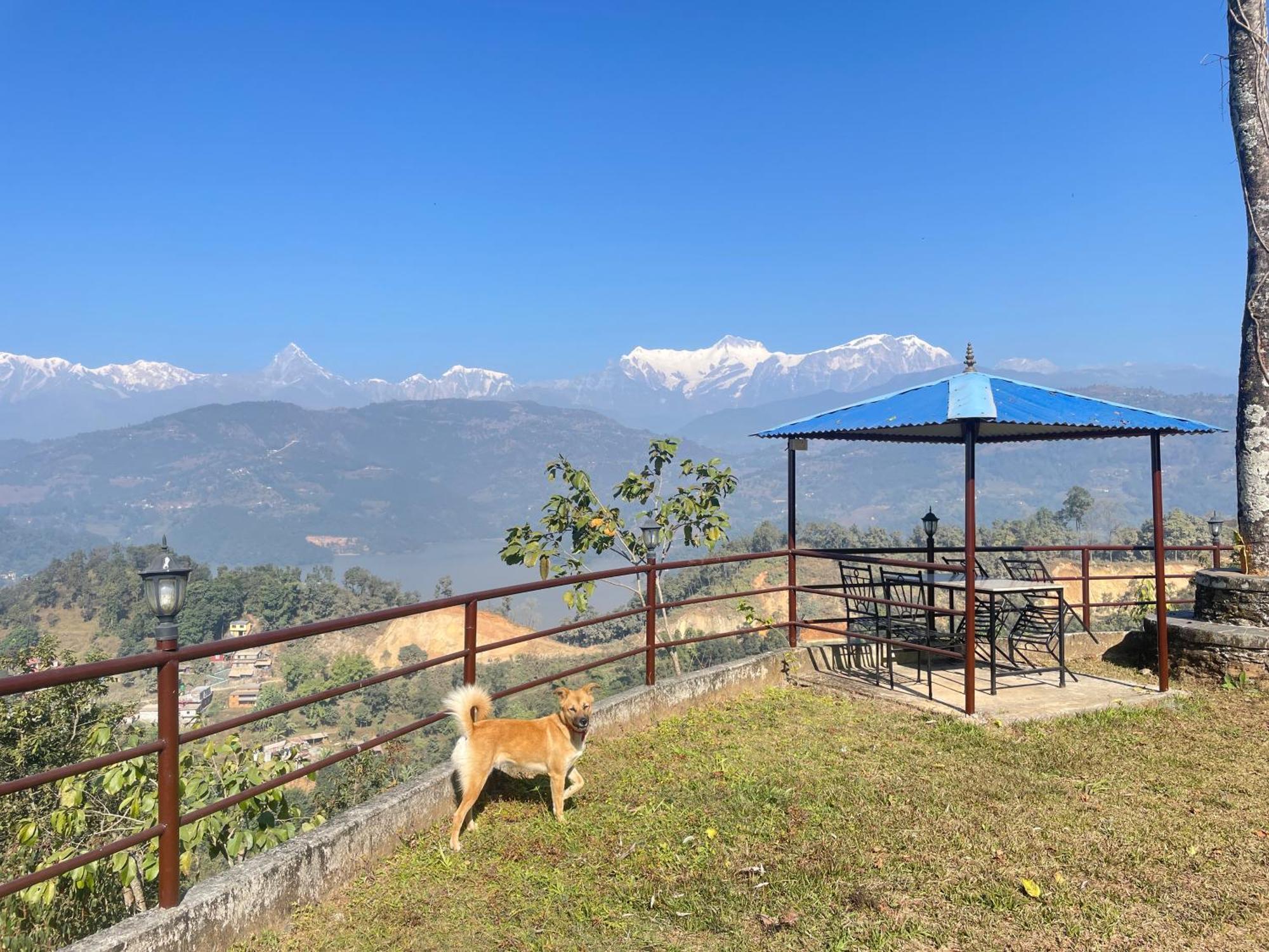 Himalaya Serene View Guest House & Farm Stay Deorāli Buitenkant foto