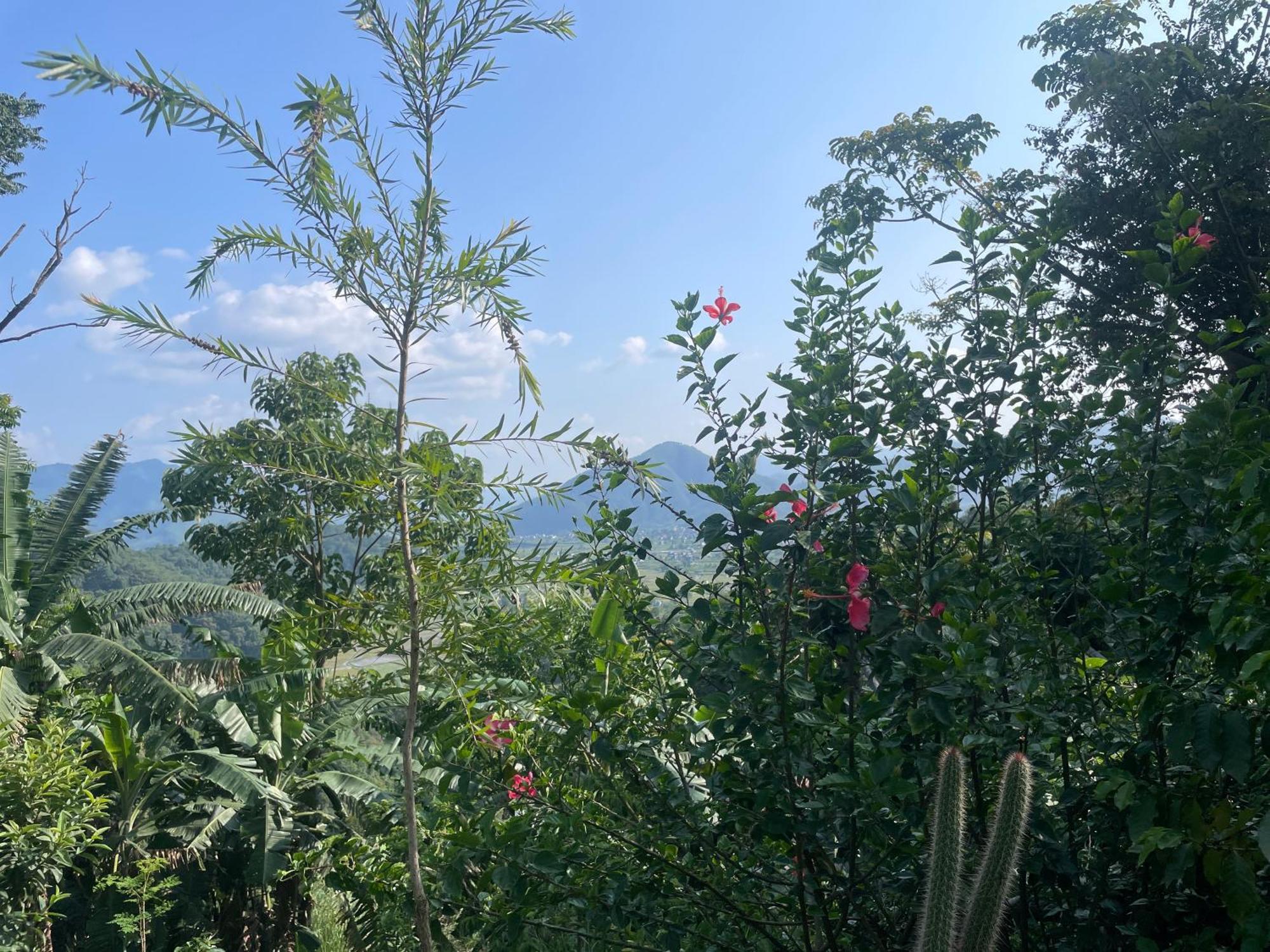 Himalaya Serene View Guest House & Farm Stay Deorāli Buitenkant foto