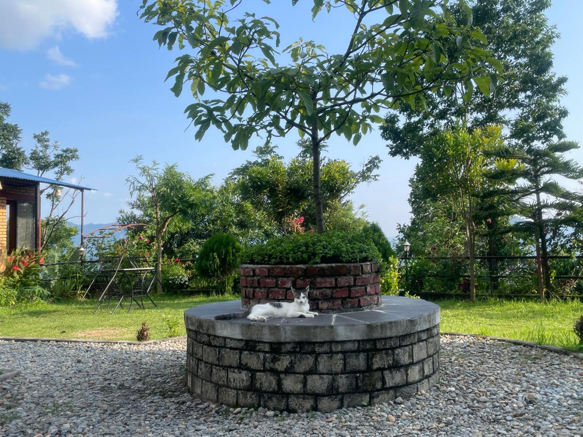 Himalaya Serene View Guest House & Farm Stay Deorāli Buitenkant foto